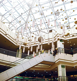 Ceiling System